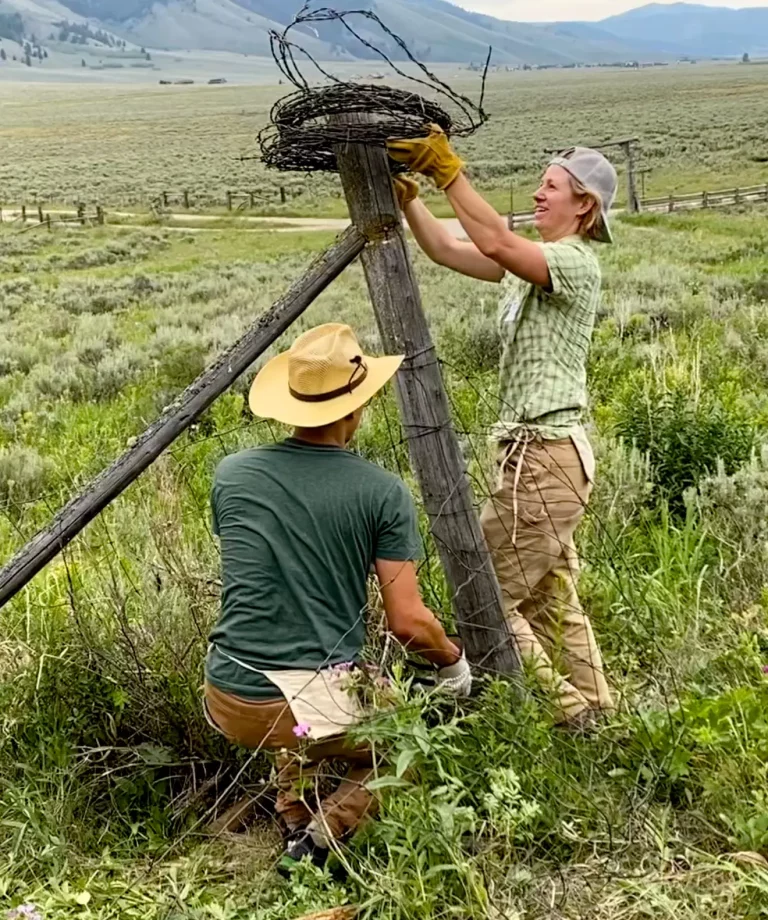 Volunteer ranchers and NPCA remove barbed wire fencing Island park to help wildlife movement