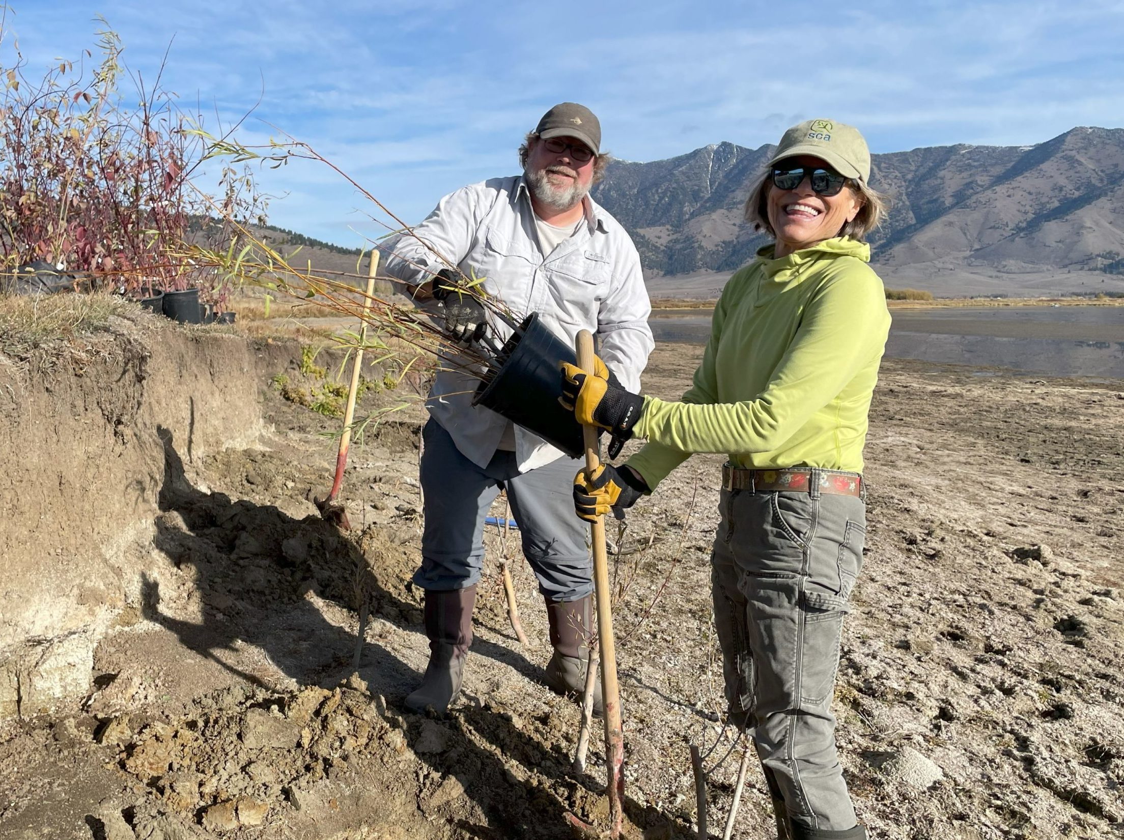 BLM employee and volunteer work together to plant a potted willow at Henrys Lake restoration site